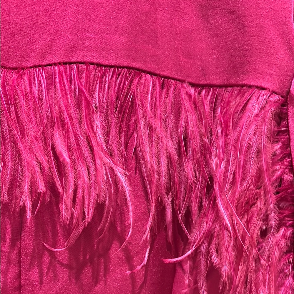 Chic Pink Button-Up Coat with Feather Detail - Picture 7 of 11